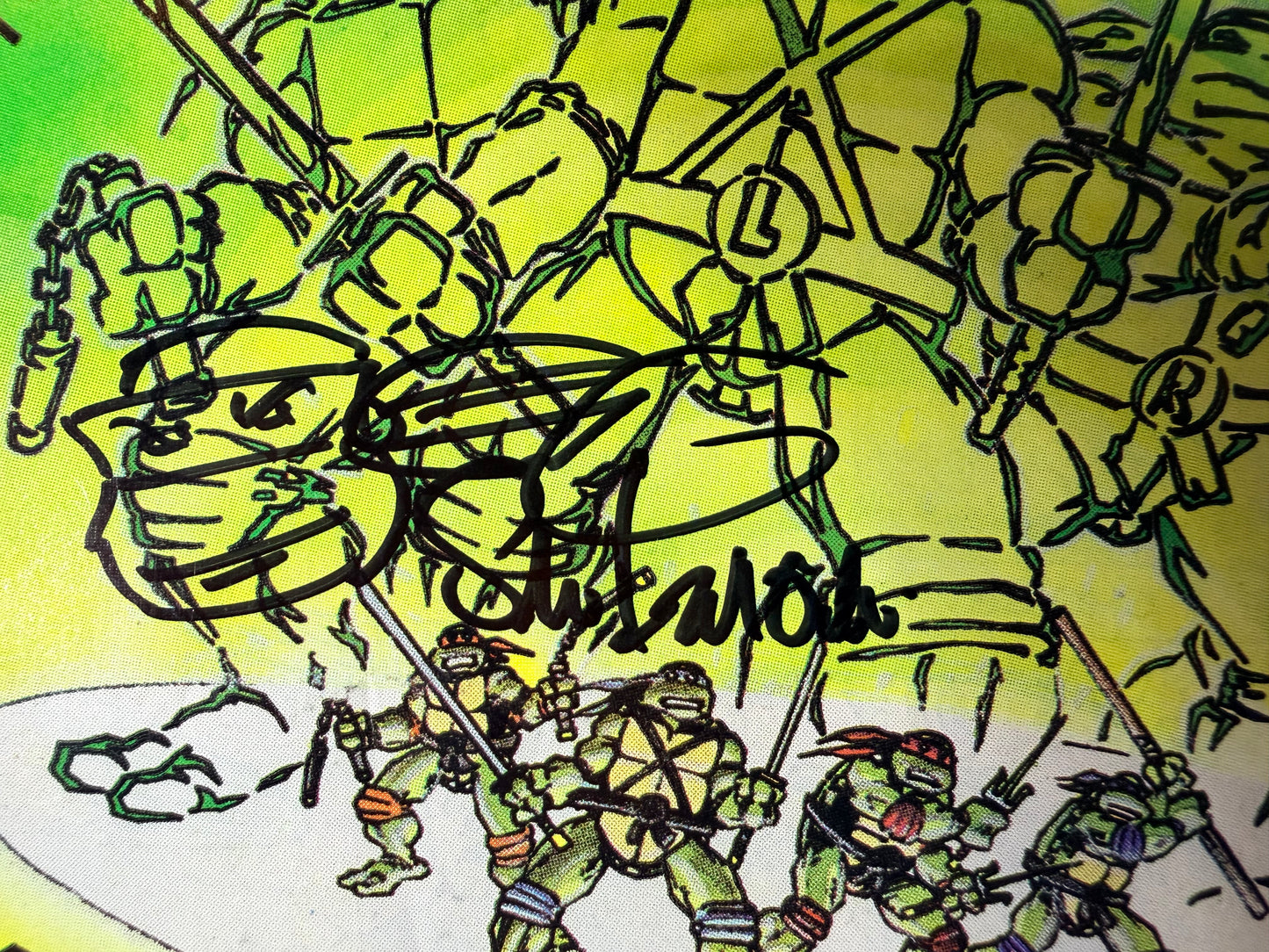Teenage Mutant Ninja Turtles Adventures #3  SIGNED by Kevin Eastman & Remarked Steve Lavigne